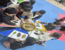 trang 1.gif - 