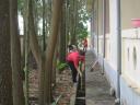 IMG_0015.JPG - 