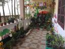 Thien nhien 5B.jpg - 