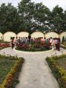 anh tham vuon hoa 1.jpg - 