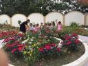 be quan sat hoa 1.jpg - 