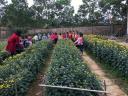 lô 5 tuoi B 400 x 300 dau xuan.jpg - 