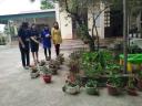 tn5.jpg - 